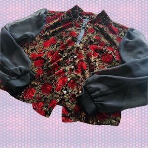 Rose Velvet Sheer Sleeve Whimsigoth Blouse